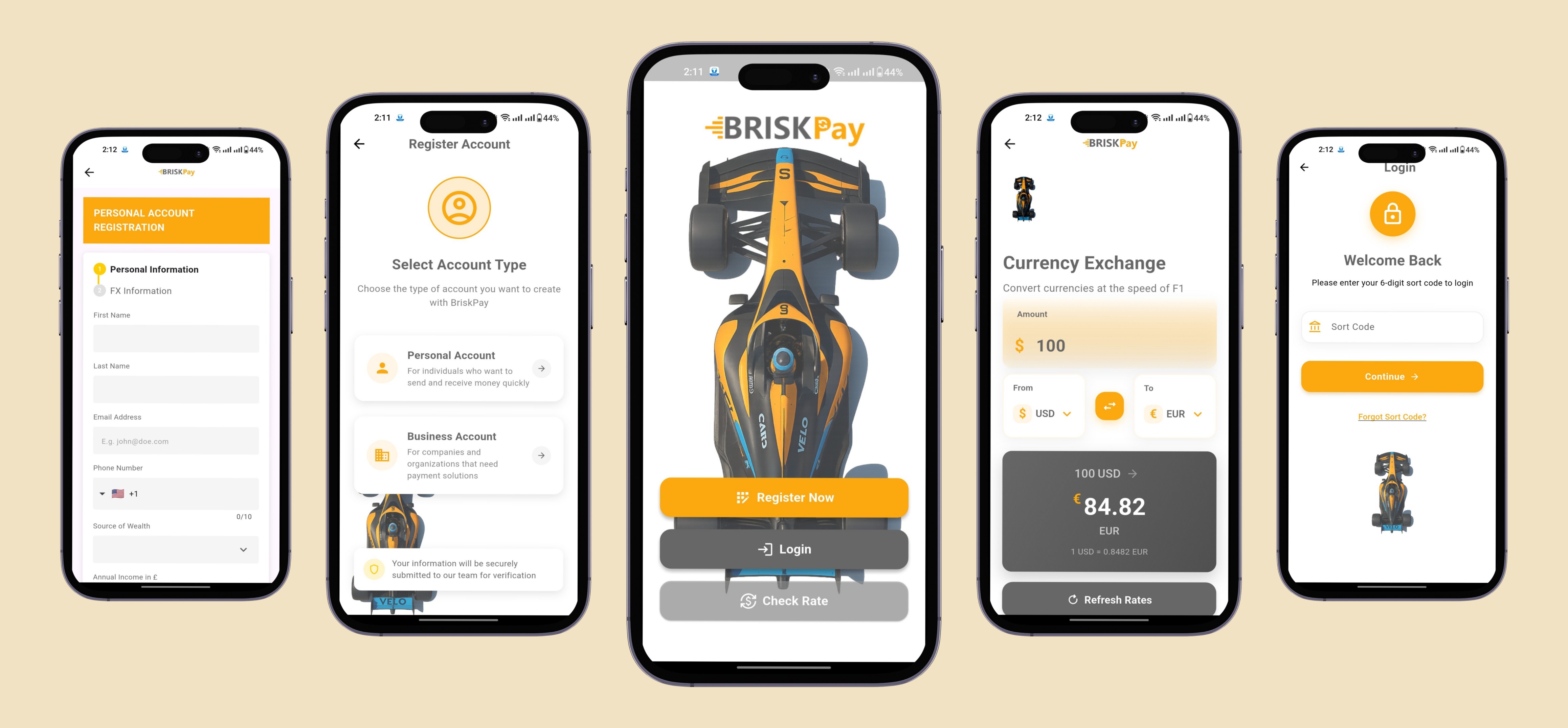 BriskPay App Mockup